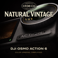 Natural Vintage LUT - DJI Osmo Action 6