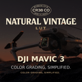 Natural Vintage LUT - DJI Mavic 3