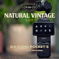 Natural Vintage LUT - DJI Osmo Pocket 3